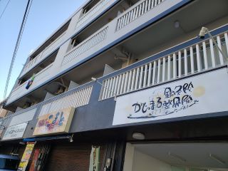 ガジュマルシンキュウセイコツイン