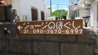 イシガキジマジョージノホグシ