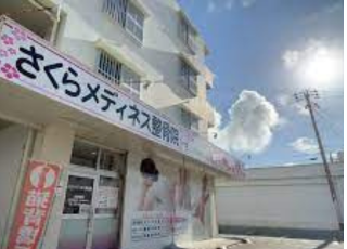 サクラメディネスセイコツイン ギノワンイン