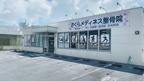サクラメディネスセイコツイン チバナイン