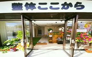 セイタイココカラ