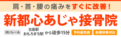 シントシンアジャセッコツインのロゴ