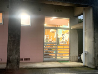 トネカイロプラクティック